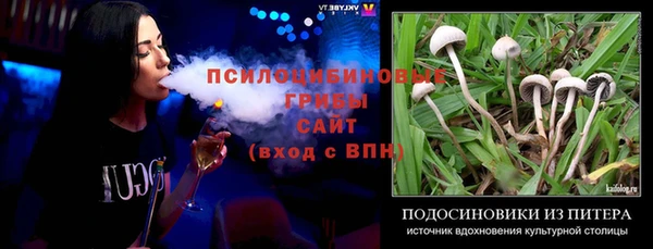 винт Абинск