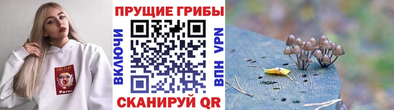 Галлюциногенные грибы Magic Shrooms Зерноград