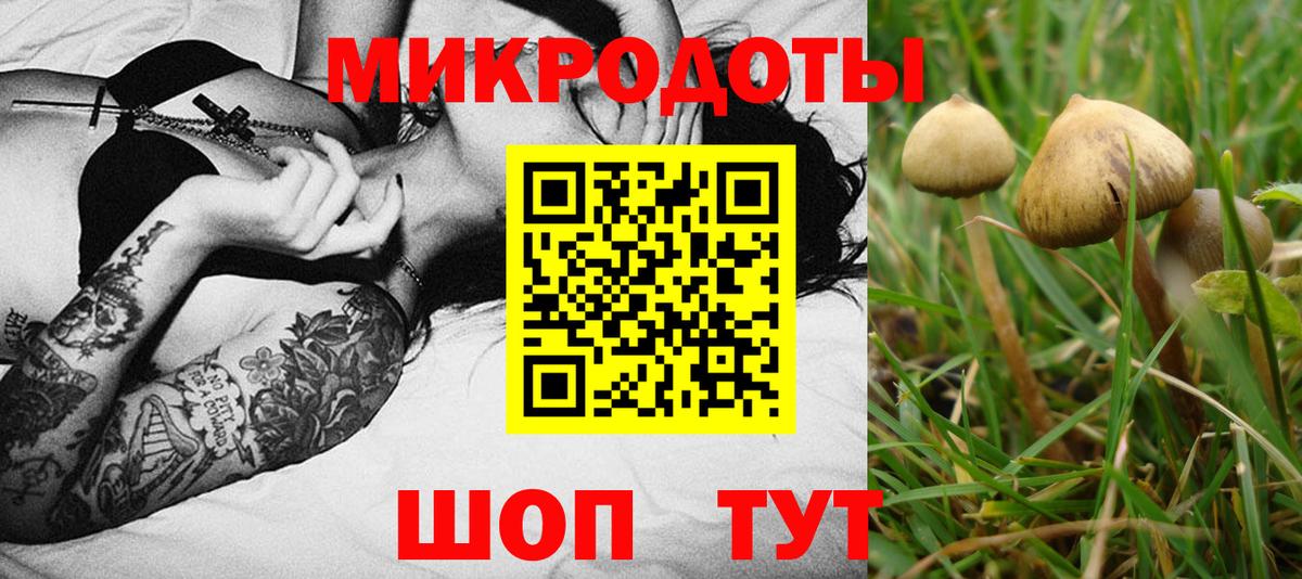 Галлюциногенные грибы прущие грибы  Вход с VPN  Псилоцибиновые грибы ЛСД  Зерноград 