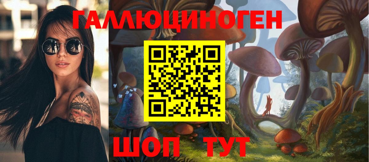 Псилоцибиновые грибы GOLDEN TEACHER Зерноград