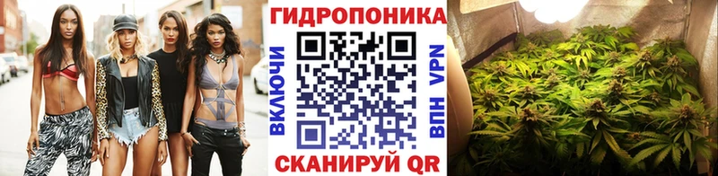 Шишки марихуана VHQ MEGA Зерноград